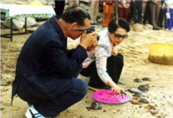 โครงการพระราชดำริสวนป่าหาดทรายใหญ่